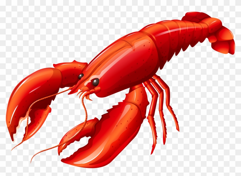 Cut Open Lobster, Product In Kind, Two Halves Png Image - Lobster Clipart #1010000