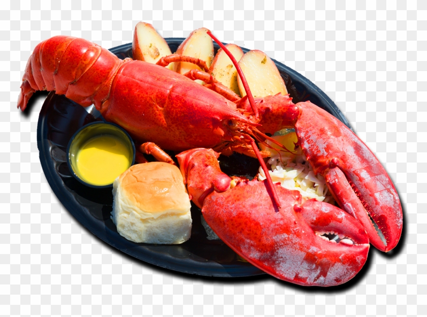C Lobster 2 Clip Art At Clker Vector - Lobster Festival Redondo Beach #1010024