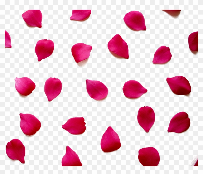 Love Quotation Valentines Day Romance Happiness - True Love Quotes For Her #1010051