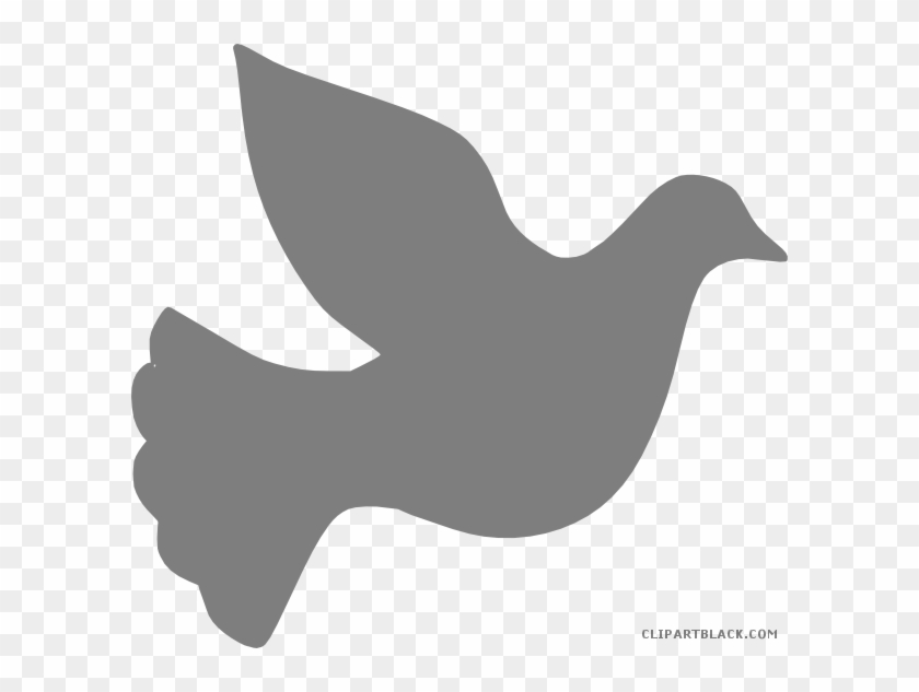 Descending Dove Animal Free Black White Clipart Images - Grey Dove Clipart #1010186