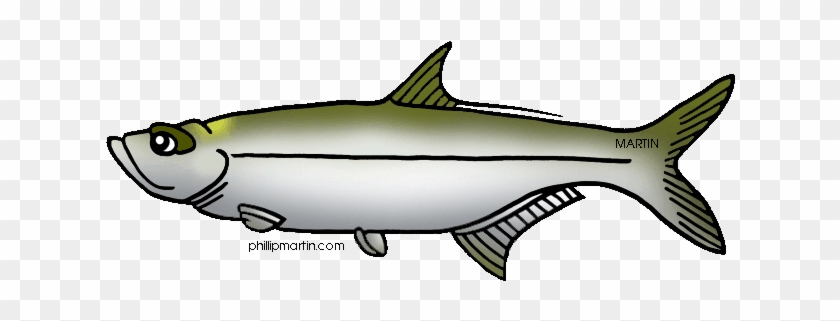 Tuna Clipart Tarpon - Tarpon Alabama State Fish #1010214