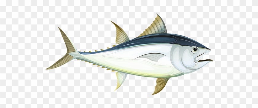 Fish, Sea, Tuna, Underwater, Water, Ocean, Animal - Atlantic Bluefin Tuna #1010232