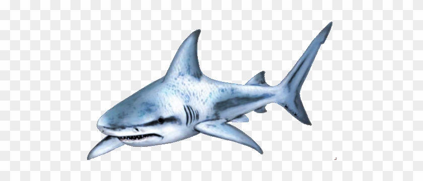 Shark Free Download Png - Shark Png #1010240