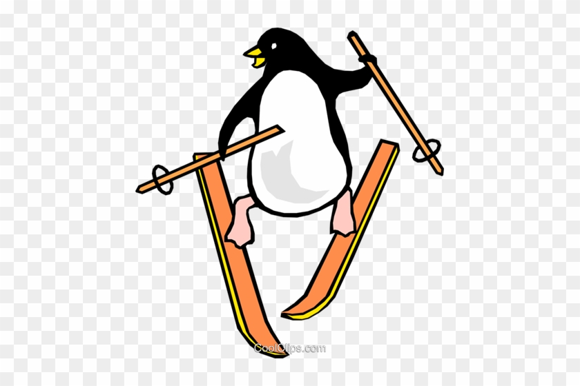 Ski Penguins, Cartoon, Skiing, Play Png Image And Clipart - Penguin Transparent Clipart Skiing Png #1010243