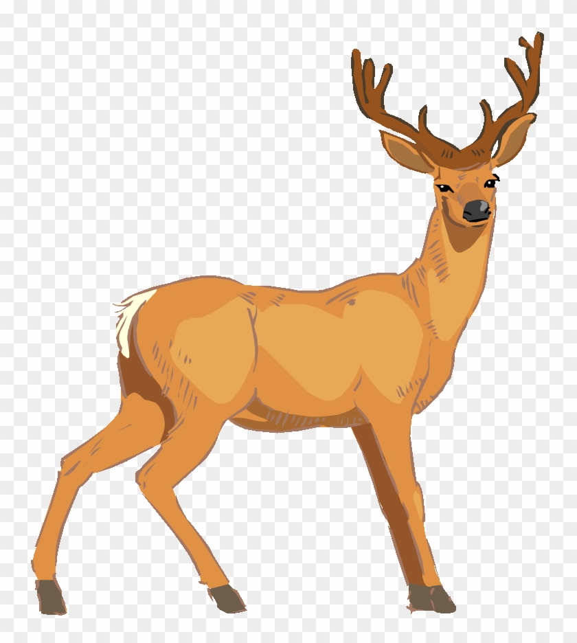 White-tailed Deer Clipart Vector - Vector Deer #1010294