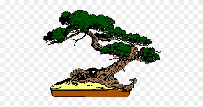 Bitácora De Un Bonsái De Olivo - Bonsai Tree Clip Art #1010362