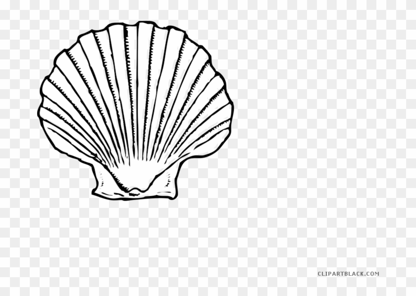 scallop shape clipart