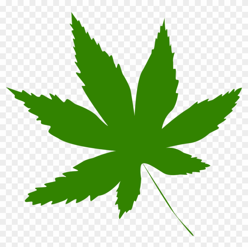 Collection Of Green Leaf Icon - Dangers Of Marijuanas #1010897