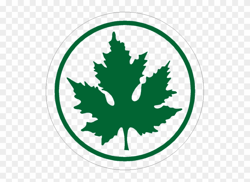 Naklejka Zielony Listek - Sticker #1010909