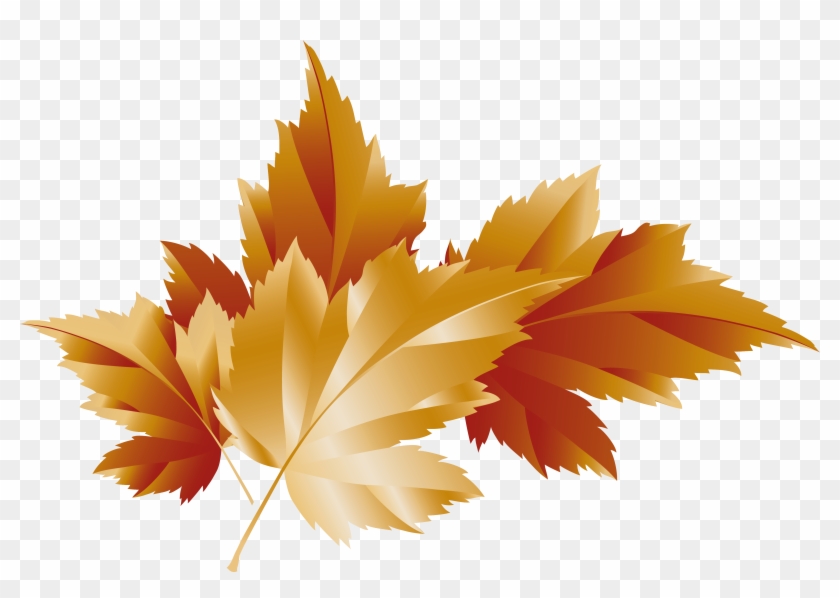 Fall Transparent Leaves Decor Picture - Maple Leaf #1010916