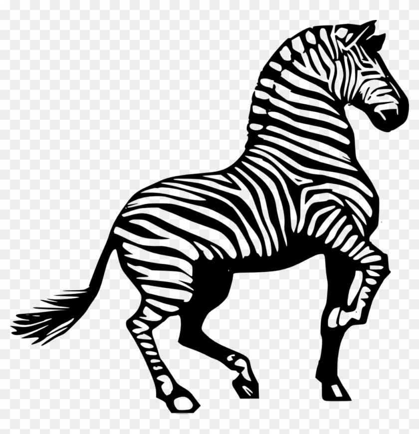 Free Download Images 2018 Zebra Clipart No Background - Zebra Drawing Black And White #1010971