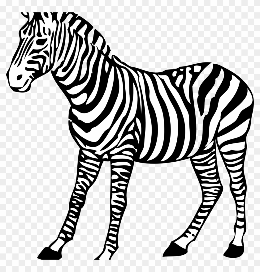 Coloring Pages For Adults Zebra Sheets New On Download - Zebra Clip Art #1010974