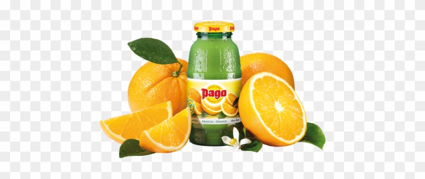 Pago Orange - Tirolmilch Pago #1011174
