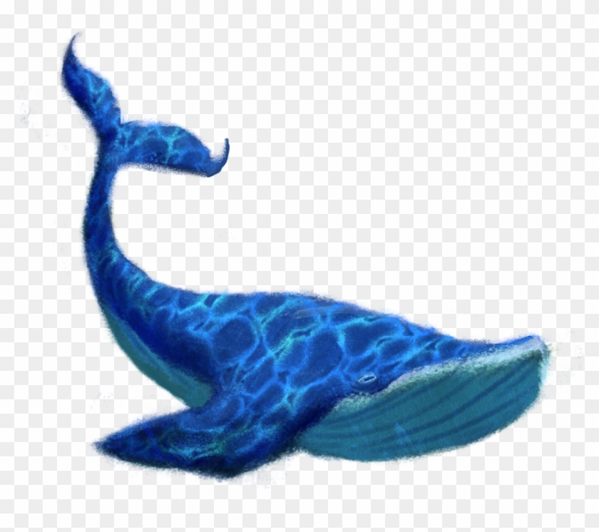 Image - Blue Whale Png #1011321