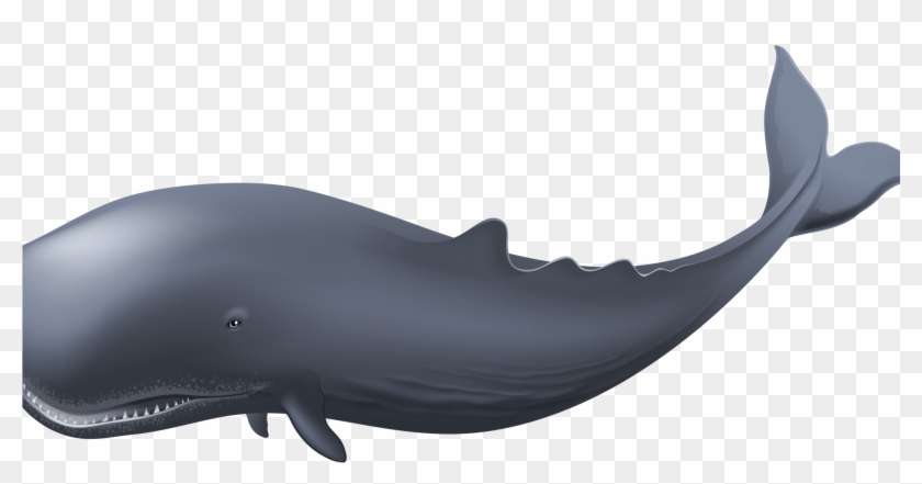 Blue Whale Clipart - Whale Png #1011348