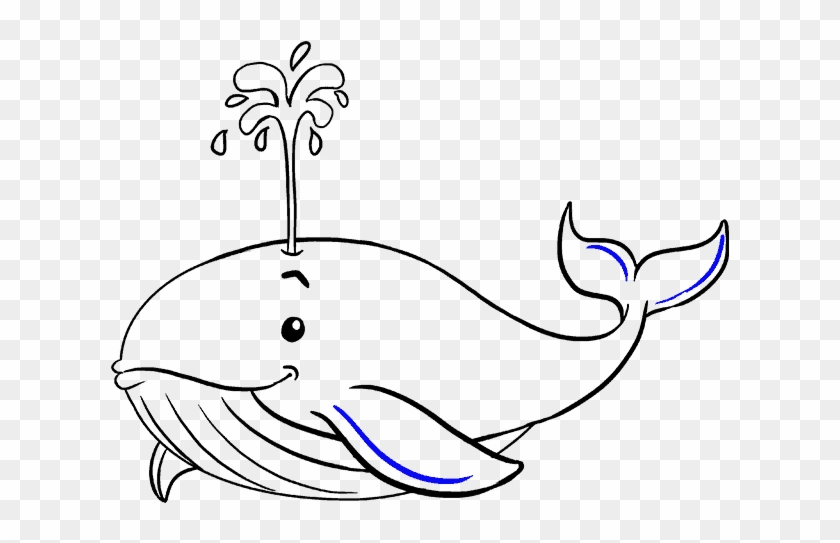How To Draw A Whale In A Few Easy Steps - Draw A Whale Easy #1011357