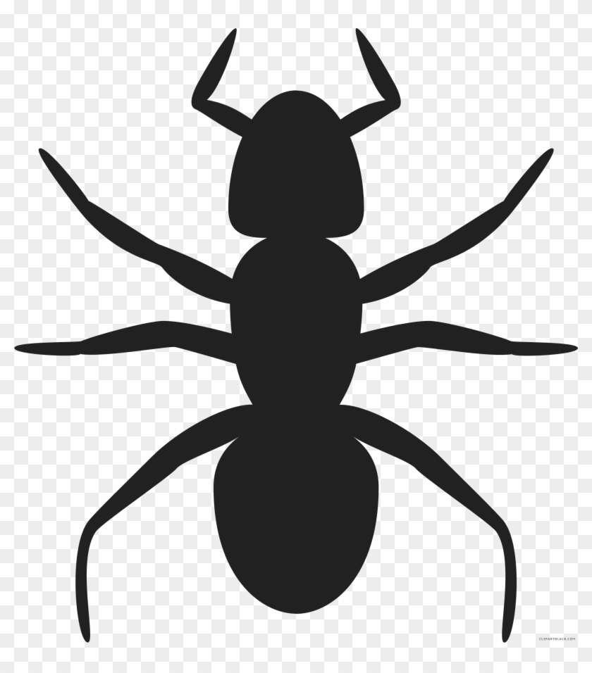 Black And White Ants Animal Free Black White Clipart - Vector Ant #1011429