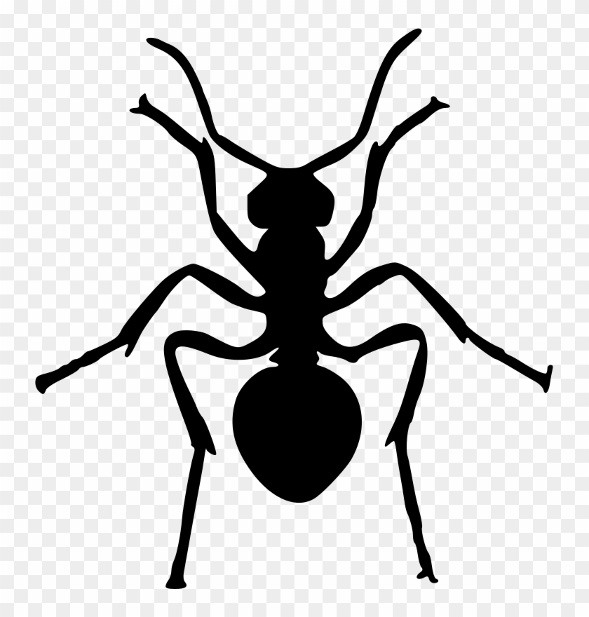 Medium Image - Ant Silhouette #1011436