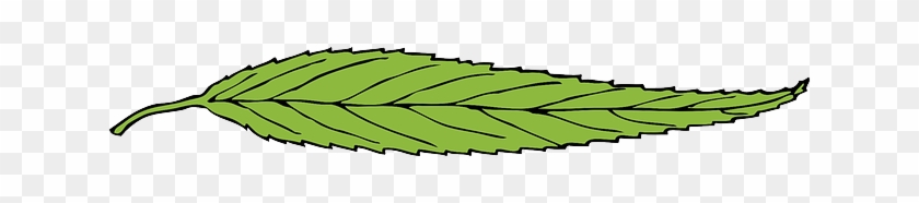 Green, Leaf, Plant, Single - Green, Leaf, Plant, Single #1011438
