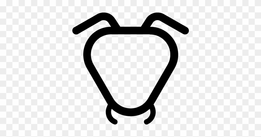 Ant - Ant #1011448