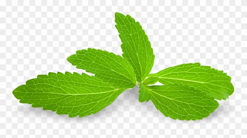 What Is Stevia - Stevia Leaf Transparent #1011496