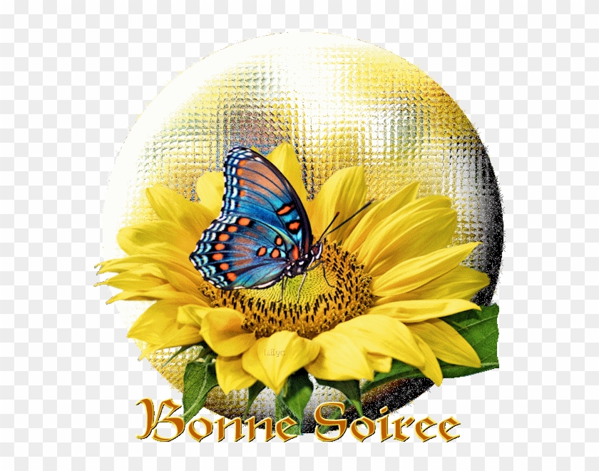 Bonne Nuit Femmes Papillions Gifs Centerblog Rikki Knight Blue Butterfly On Sunflower Design Protective Free Transparent Png Clipart Images Download