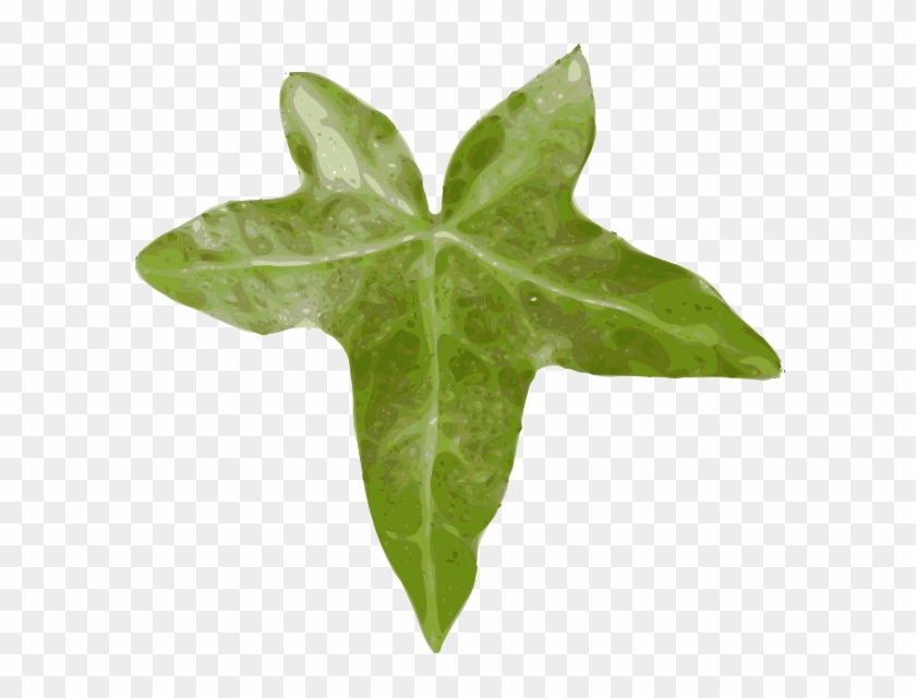 Leaf Clip Art #1011549