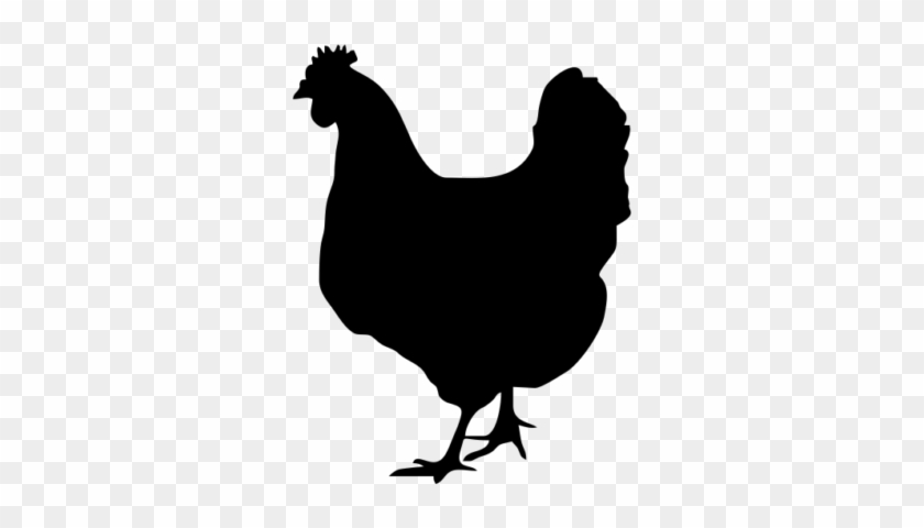 Grilled Chicken And Turkey 80 ˚c - Chicken Svg Free #1012095