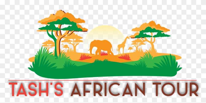 Tash African Tours - Tash African Tours #1012393