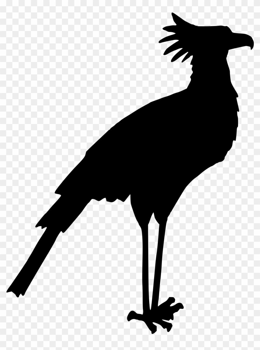 Bird 1 - Secretary Bird Silhouette #1012662