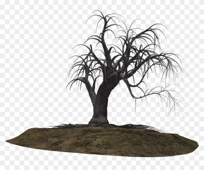 Creepy Tree 21 By Wolverine041269 On Clipart Library - Creepy Tree 21 #1012677