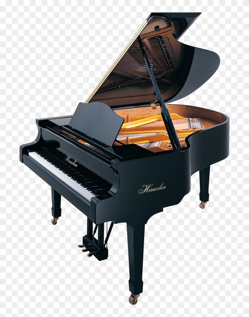 Haessler Model 175 Grand Piano Florida Haessler Model - Piano #1012751