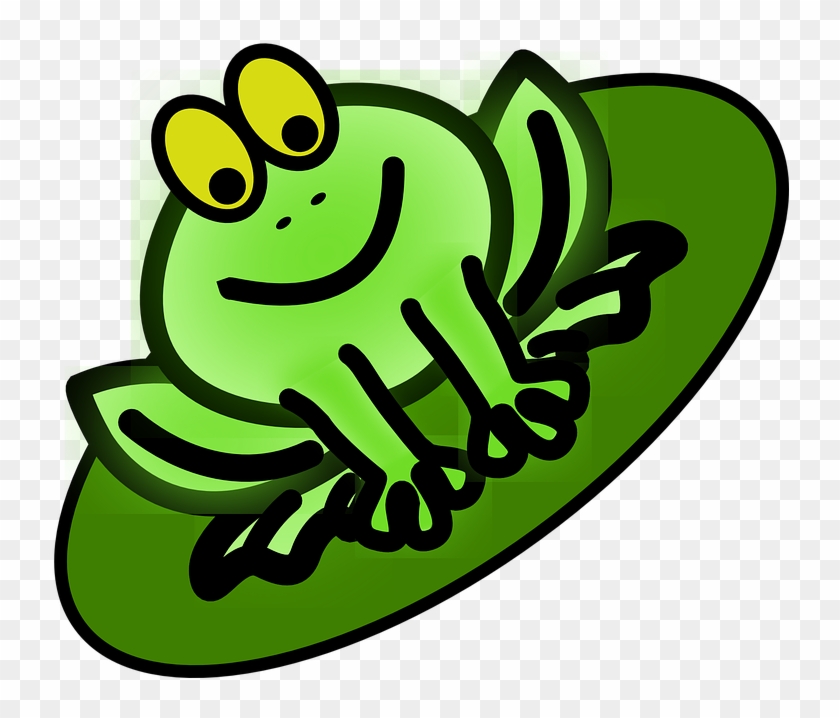 Frog King Frog Amphibian Animal Wildlife L - Dibujos De Anfibios Animados #1012845
