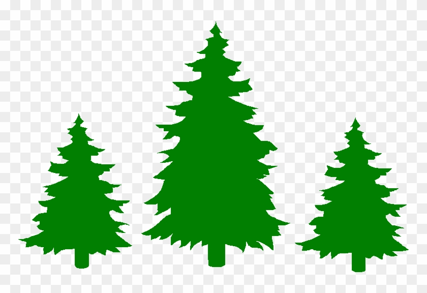 Pinewood Infant School Logo Showing Three Pine Trees - Pine Wood Logo #1012868