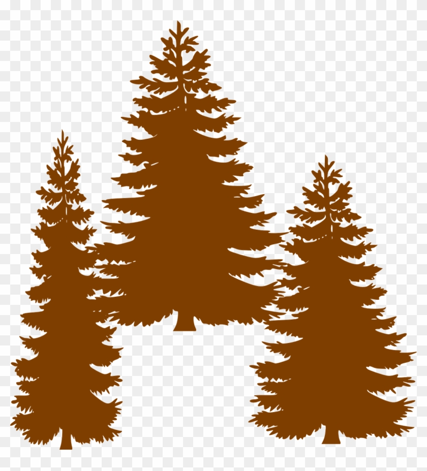 Pine Fir Tree Evergreen Clip Art - Tall Pine Tree Silhouette #1012903