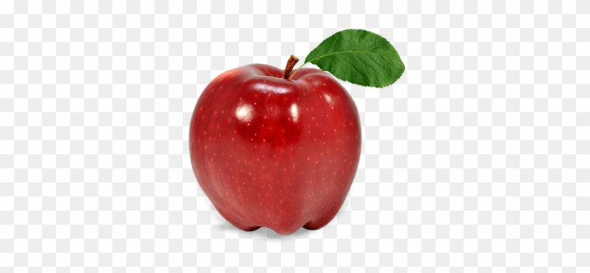 Apple Fruit Quality Png Photo - Simla Apple #1012972