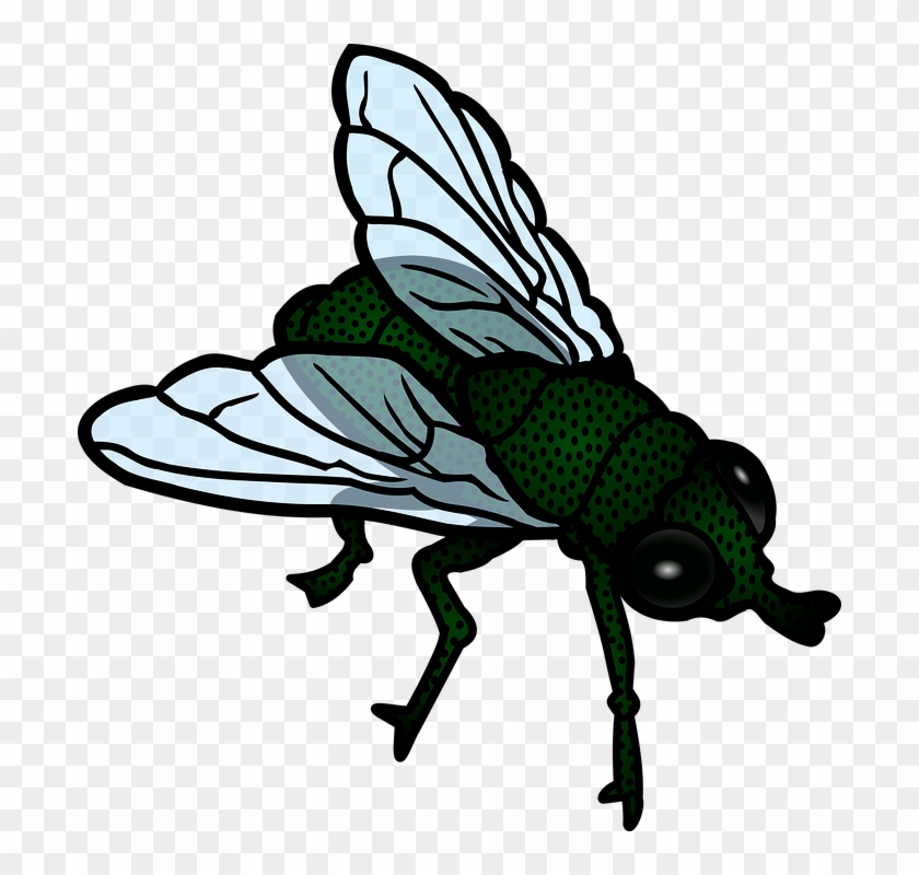 Flies Clipart Mosca - Flies Clipart Png #1012975