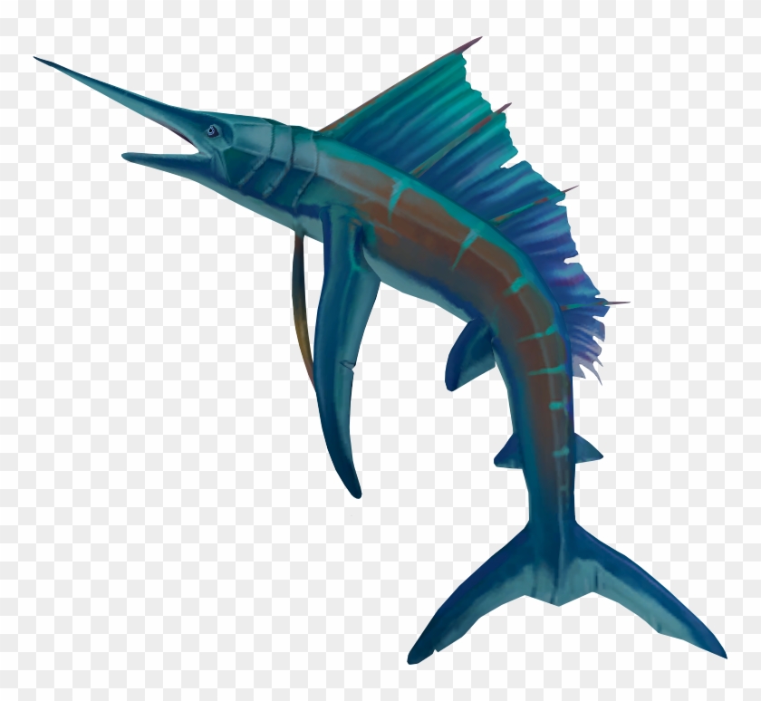 Raw Sailfish Detail - Sailfish Runescape #1013211