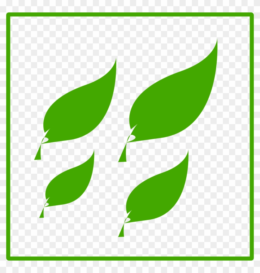 Free Eco Green Leaves Icon - Leave Green Eco Icon #1013224