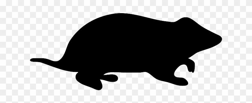 Small, Silhouette, Hamster, Cute, Pet - Hamster Silhouette Clipart #1013231