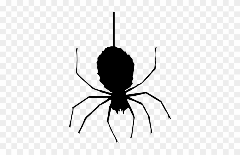 Halloween Spider Png Clipart - Halloween Spider Png #1013338