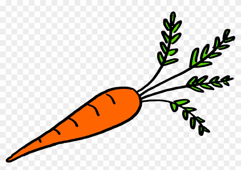 Carrot - Fruit And Vegetables That Grow Underground #1013365