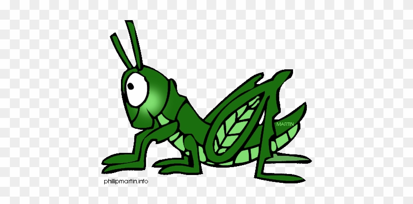 Awesome To Do Clip Art Grasshopper Vector Clipart Panda - Food Chain For Frogs #1013389