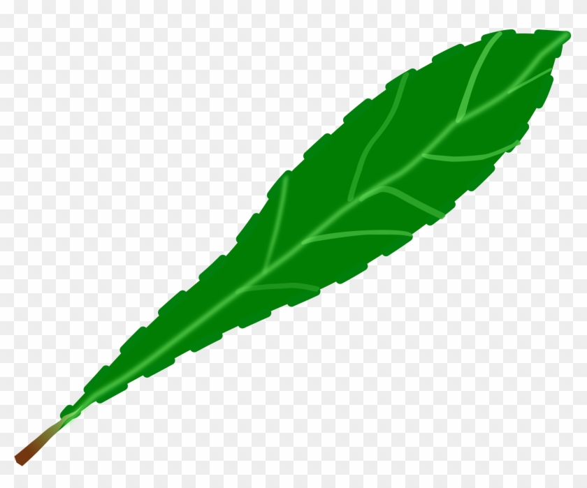 single green leaves clipart