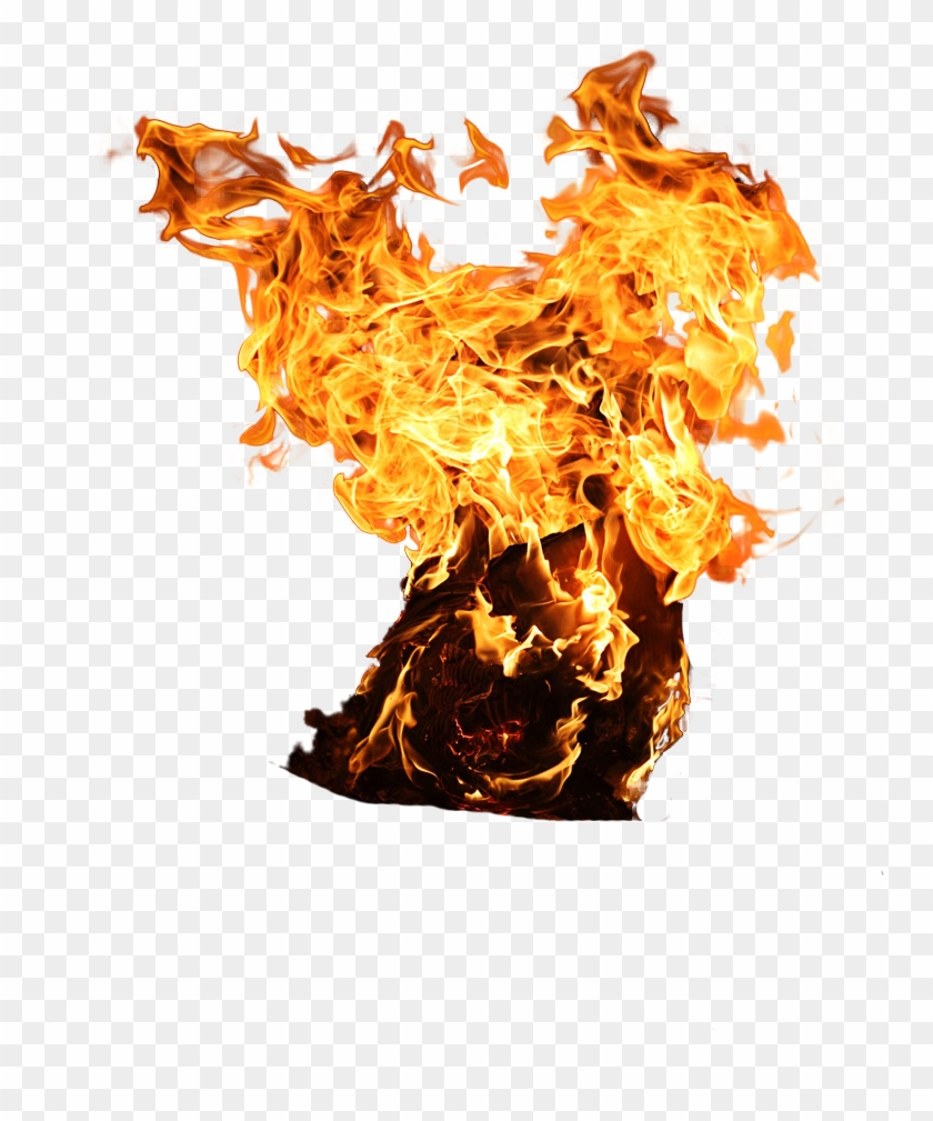 Fire Png By Camelfobia Fire Png By Camelfobia - Tree On Fire Png #1013403