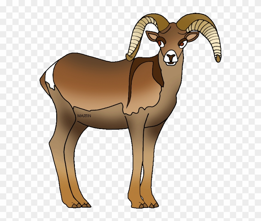 Lamb Clipart Phillip Martin - Nevada State Animal Bighorn Sheep #1013417