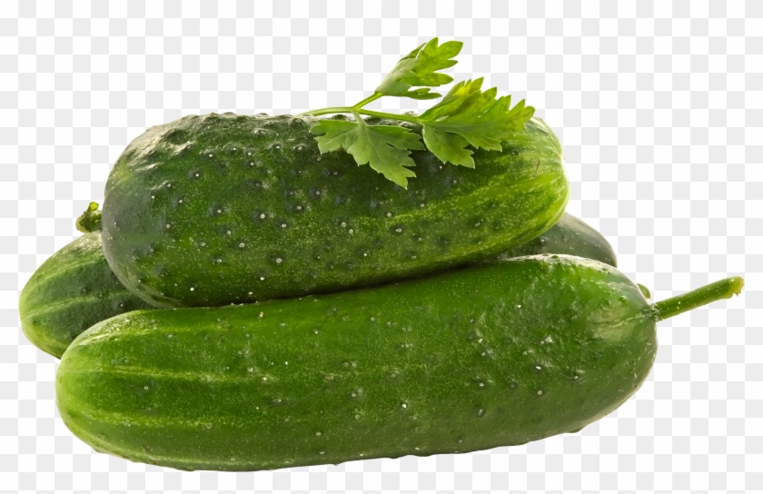 Cucumbers Png - Cucumbers Png #1013503