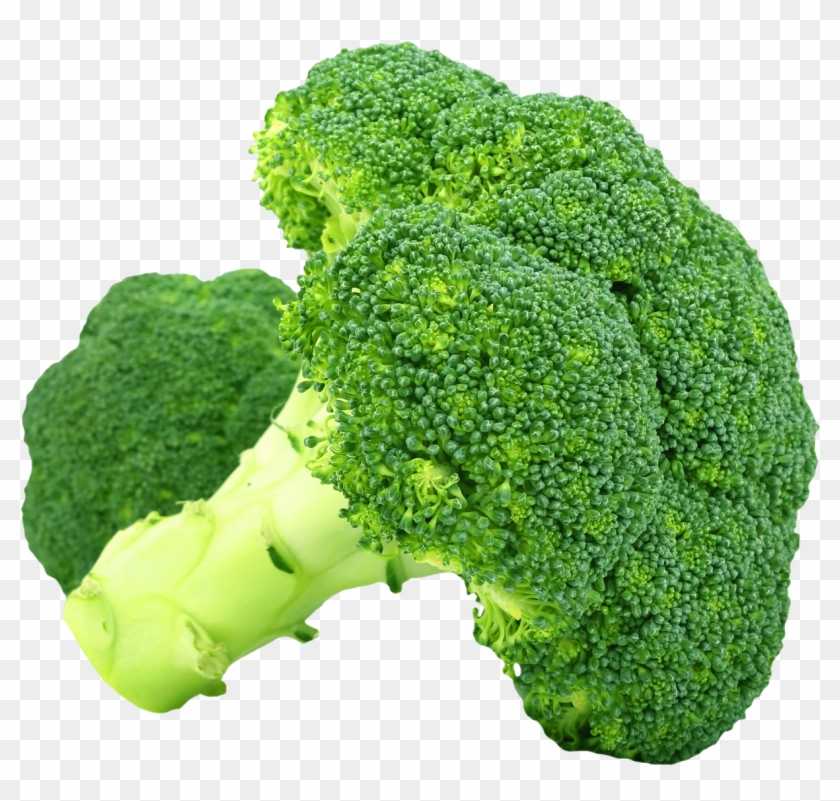 Broccoli Png Transparent Png Images - Broccoli Png #1013507