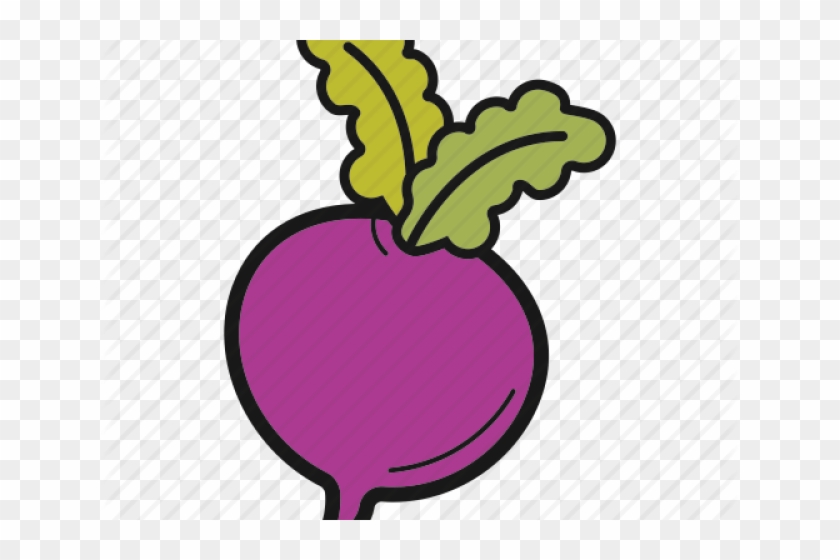 Radish Clipart Turnip - Turnip Icon #1013509