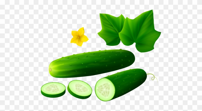 Cucumber Clipart Transparent Background - Cucumbers Clipart Png #1013521